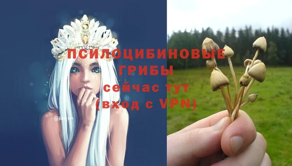 а пвп мука Аркадак