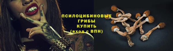 мет Армянск