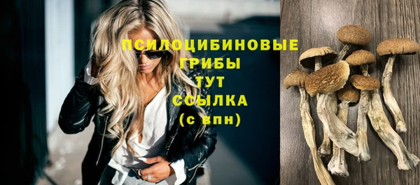 мет Армянск